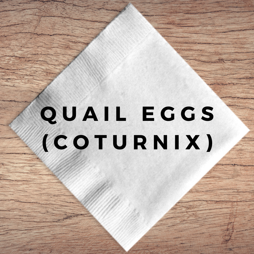 Quail Eggs (Coturnix)