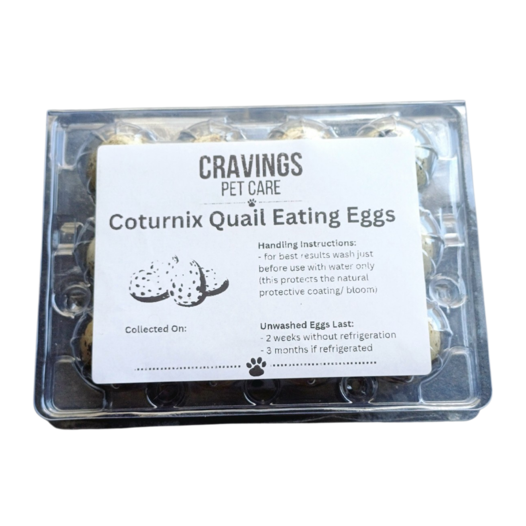 Coturnix Quail Fresh Eggs Food Topper